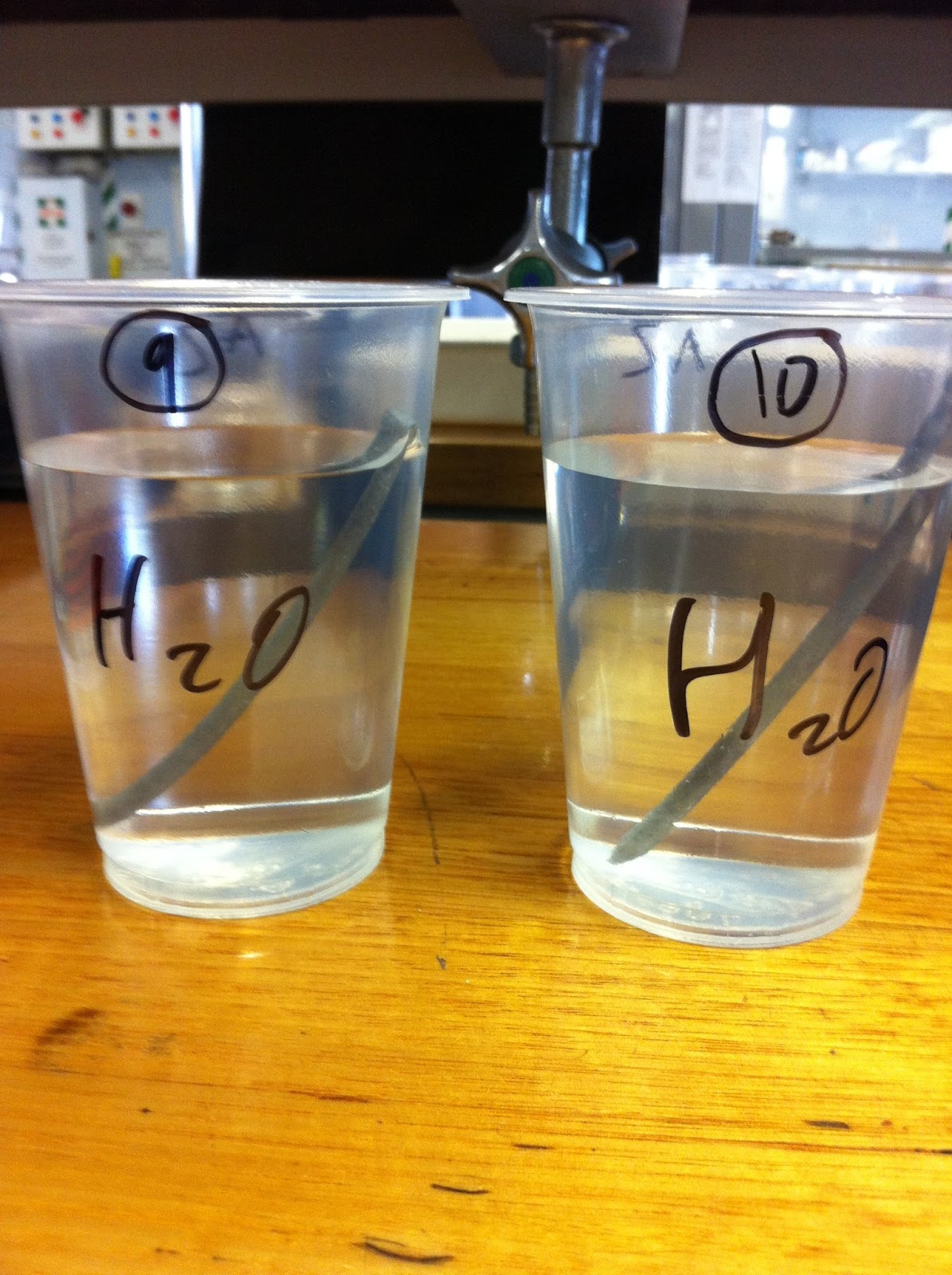 Anthony's Chemistry EEI